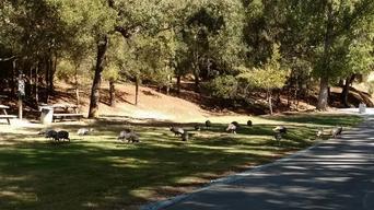 Oak Dell RV Park
