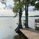 Campspot slideshow image 2