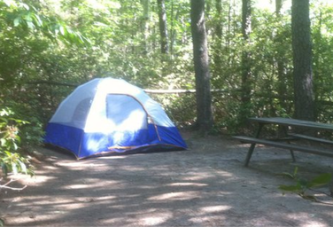 The Pines Campground