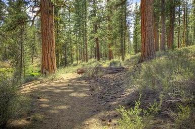 FALL RIVER CAMPGROUND