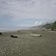 A long stretch of beach at Kalaloch Campground. The beach is comprised of sand and small rocks. Large amounts of driftwood litter the coastline.