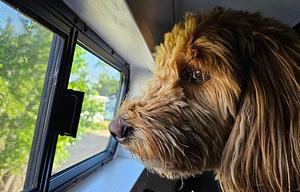 LunaSea Van-AC-Heater-Solar-Dog Friendly-Off Grid