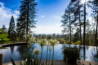Reverie retreat