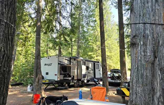 Wanderer- Inland NW Rentals'  Forest camp king!