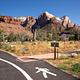Pedestrian path winding through the campground with sheer, dramatic sandstone cliffs of Zion Canyon rising in the background.