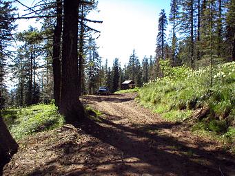 Tingley Spring