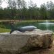 Fishing Pond view 