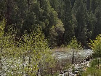 North Fork Yuba River