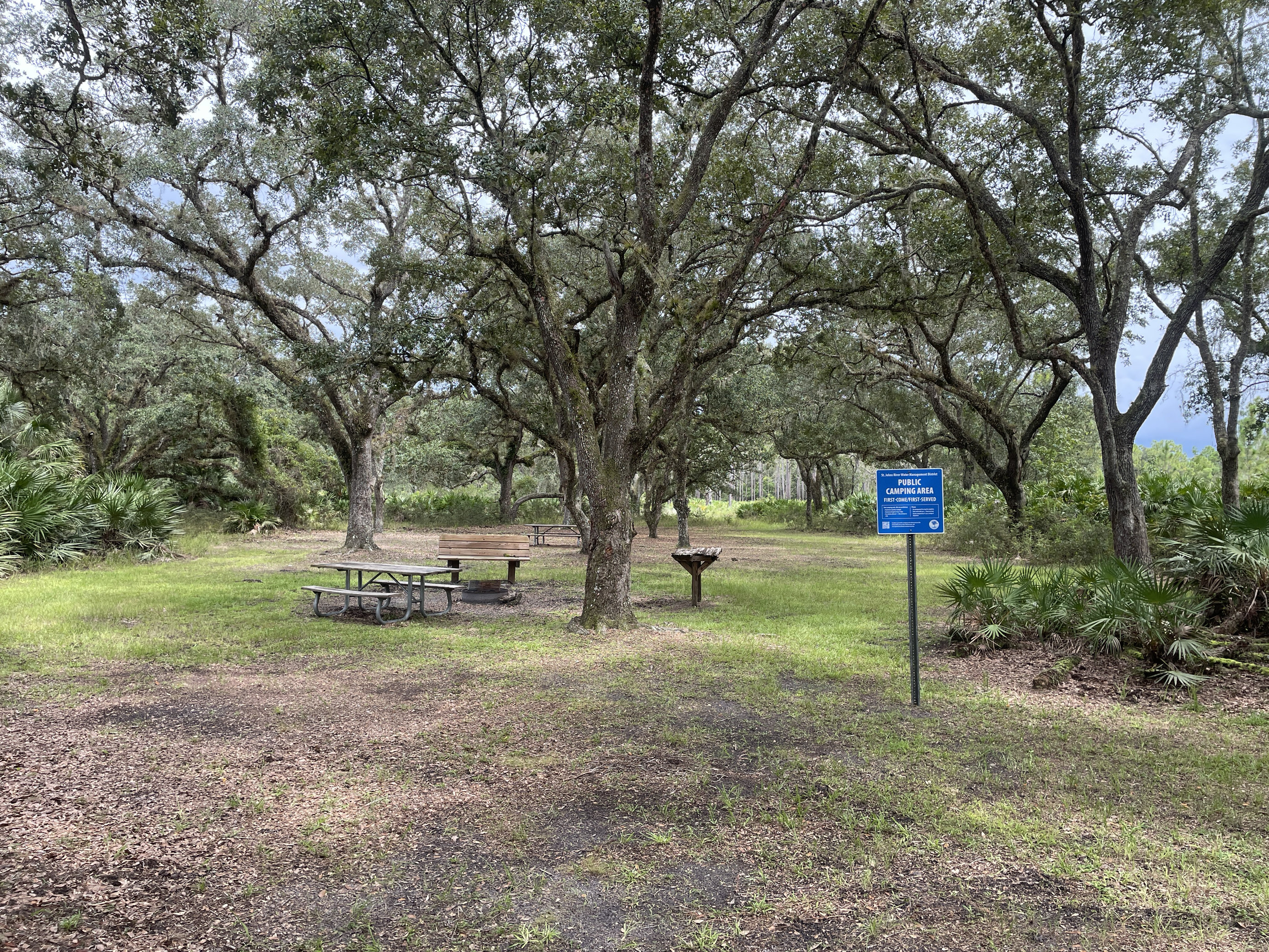 Hal Scott Regional Preserve and Park Site 2 Hike-In SJRWMD