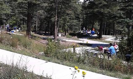Picnickers enjoying the day.