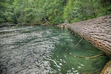 Adams Fork Campground