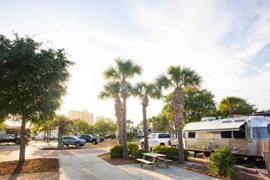 RV park with palm trees, picnic table, and parked trailers under a bright sky. Buildings are visible in the distant background.