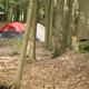 Tent campsite among trees with visible tent and forested groundcover — represents primitive/tent camping area on the property (source: Photos page).