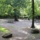 Several picnic tables beneath leafy trees that shade the Rock Creek Group Site
