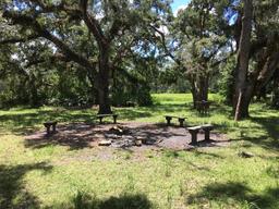 Hal Scott Regional Preserve and Park SJRWMD