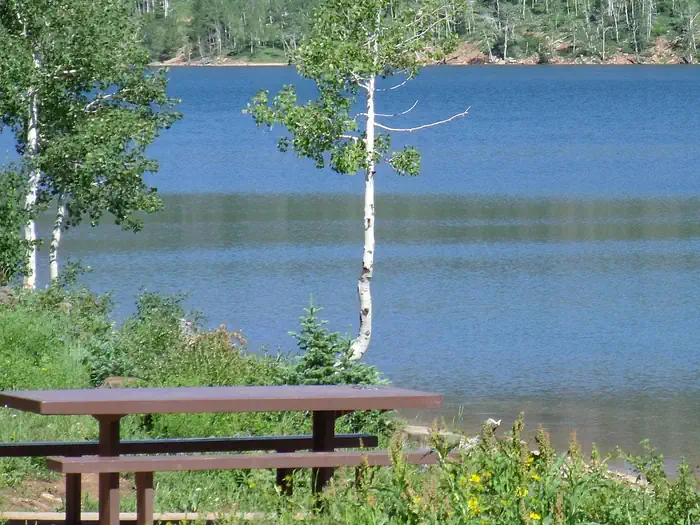 Spruces Campground (Dixie Nf)