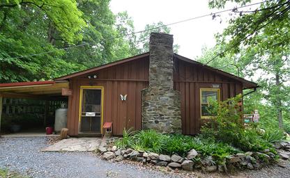 Maple Tree Camp