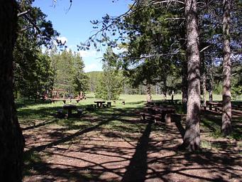 Willow Park Group Area