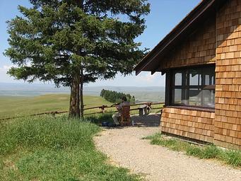 Fiddler looking at the view