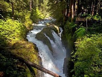 Falls near Sol Duc