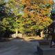 Park entrance/grounds view with a large Yogi Bear statue, gravel road and trees — clearly shows entry area and campground layout from the site’s homepage slider (good overview of property).