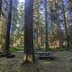campsite in woods