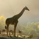 Wide scenic shot of giraffes and mixed species in a pastoral setting on the grounds at golden hour — useful as an overall property/scenery image that conveys the park atmosphere (social image on site).