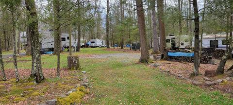 Photo of wooded RV sites with multiple trailers visible among trees — shows campsite layout and typical RV pitch area on the property.