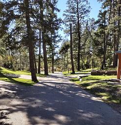 UPPER FIR Group Campground Paved Driveway