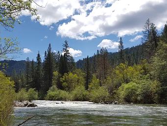 North Fork Yuba River
