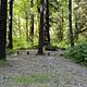 Campground site in trees