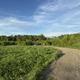 Gum Springs RV Camp and Stay