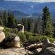 Panoramic Point View