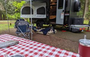 The Puddle Jumper! Pet Friendly Micro Toy Hauler! Bring your toys and dogs!