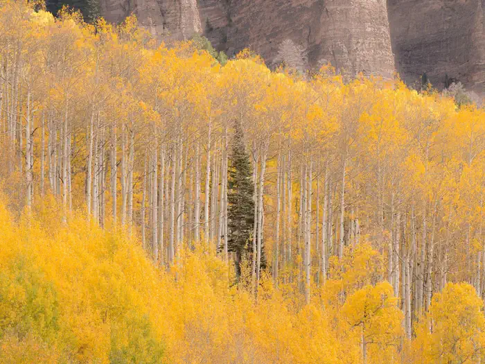 Jumbo Campground