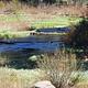 North Fork River 