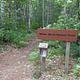 White Birch trail head at Twelvemile campground