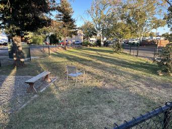 Dog Park.jpeg