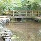 Foot Bridge