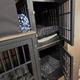 Class C - Built in Dog Kennels
