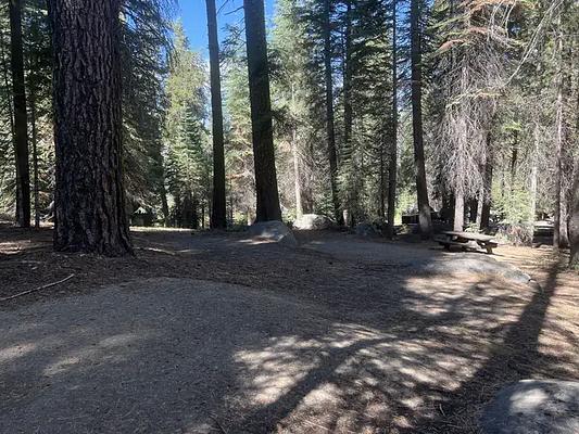 1, Loop: AREA SILVER CREEK GROUP CAMPGROUND