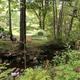 Campspot slideshow image 1