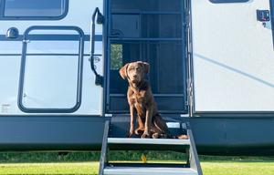 2020 Forest River RV Vibe | Room For Everyone!