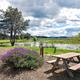 Campground image 1