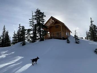 Front of the cabin