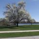 Wide scenic shot showing a large tree, mowed lawn, walkway and lake in the background — suitable overview of the park grounds and lakeside setting used on the property's slideshow background.