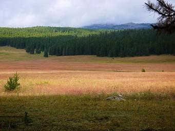 Open field next to Sitting Bull Campground