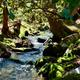 Campspot slideshow image 2