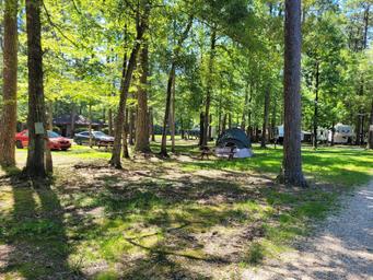 Shaded tent camping area showing tent, picnic table, vehicles and RV sites — useful campsite overview. File is from the Home page (TENT‑SITE image) indicating it depicts the campground.