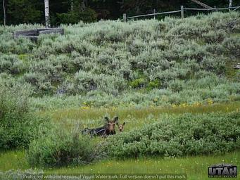 Meeks Cabin Campground